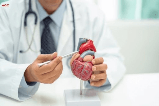 Introduction to Cardiovascular Surgical Techniques